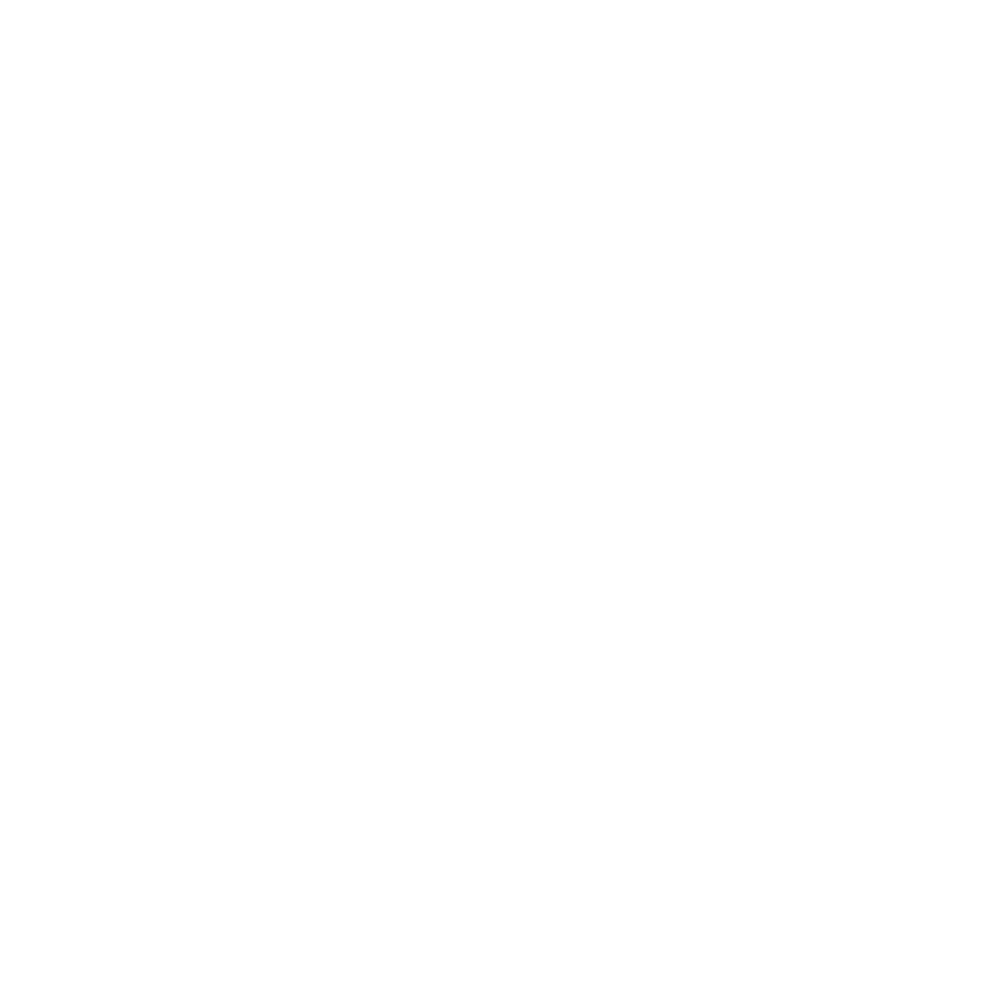 DataServe IT